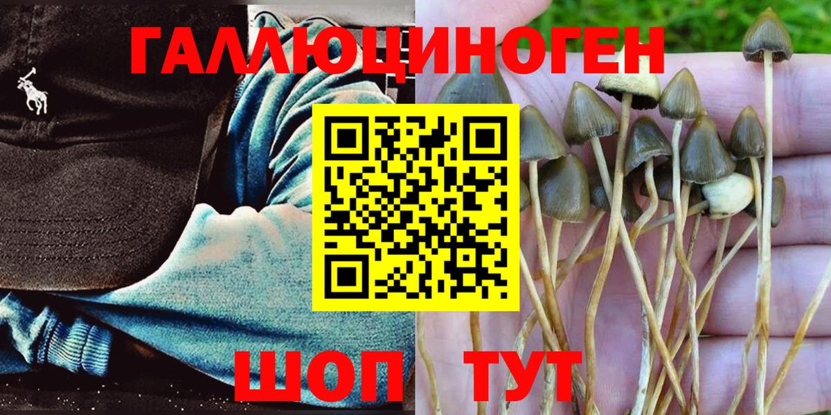 Псилоцибиновые грибы MAGIC MUSHROOMS Дубна