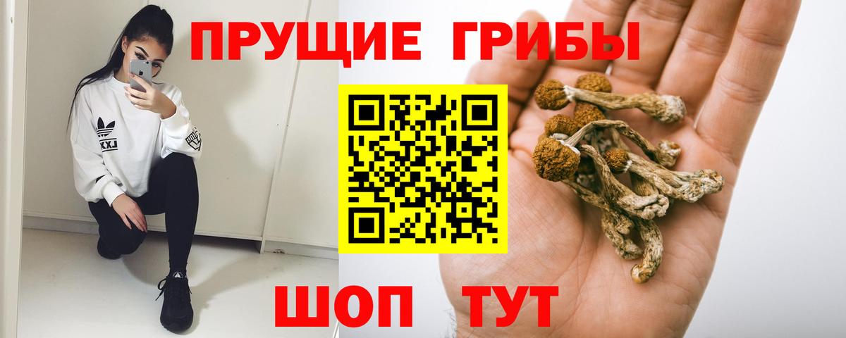 Галлюциногенные грибы GOLDEN TEACHER  Вход с VPN  Галлюциногенные грибы ЛСД  Дубна 