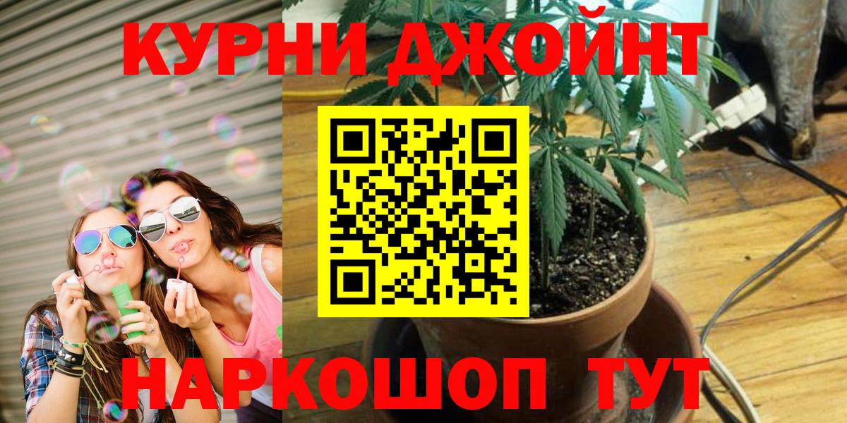 Конопля сатива  Вход с VPN  Канабис марихуана  Бошки марихуана индика  Дубна 